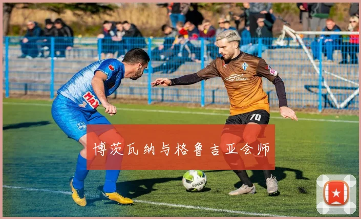 博茨瓦纳与格鲁吉亚会师 - 买球站投注