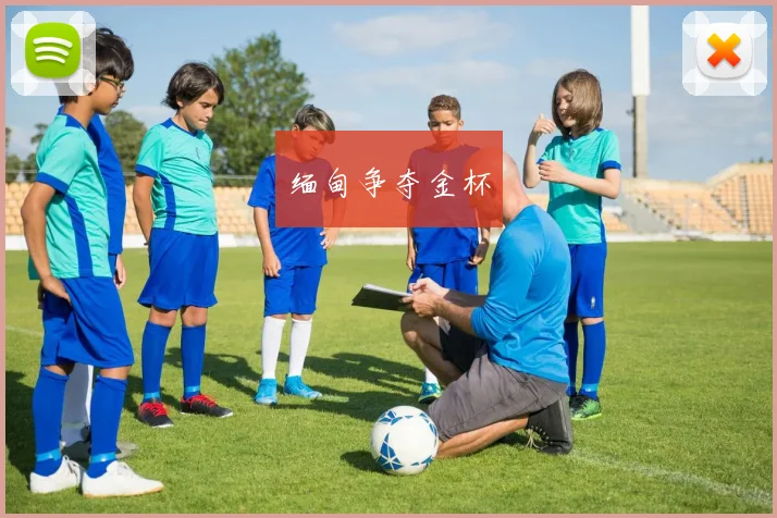 缅甸争夺金杯 - 买球站投注