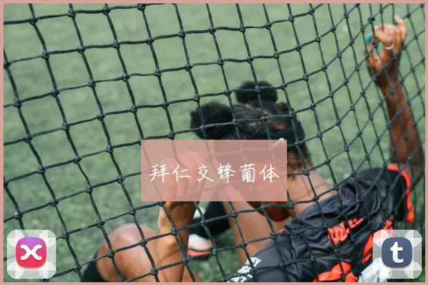 拜仁交锋葡体 - 买球站投注